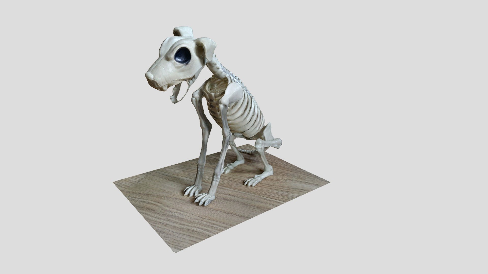 skeleton-dog-buy-royalty-free-3d-model-by-garjames1-94c9c2f