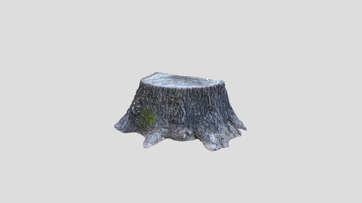 stump 3D Model