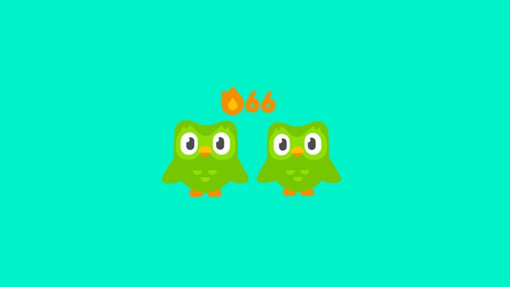 Doulingo Owl 3D Model