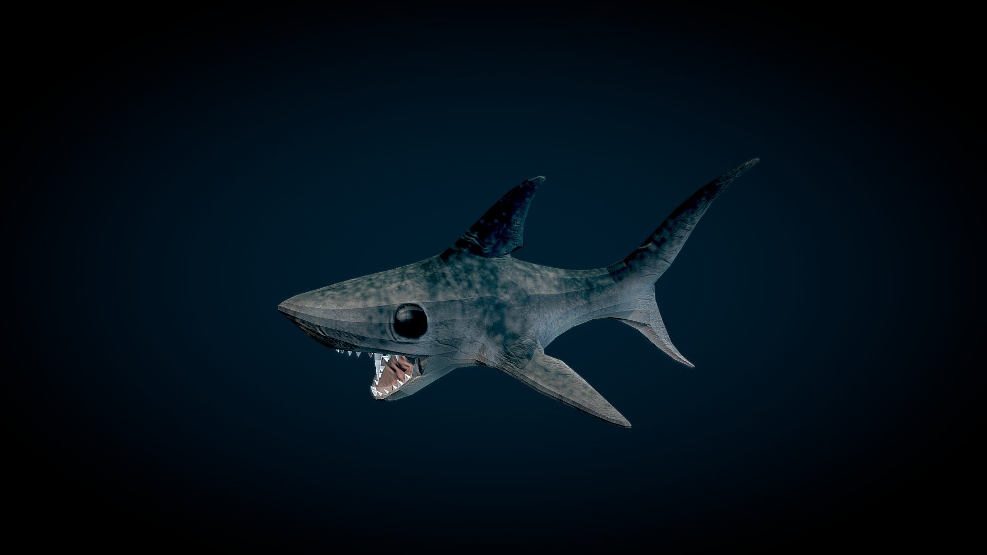 Weird Shark