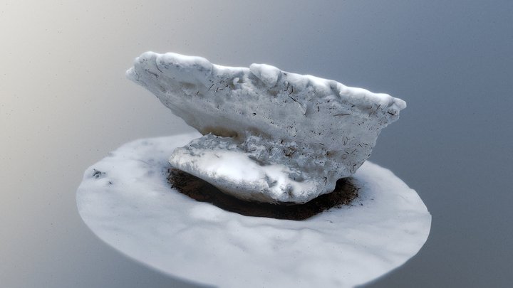Glace en marée basse à Uashat 3D Model