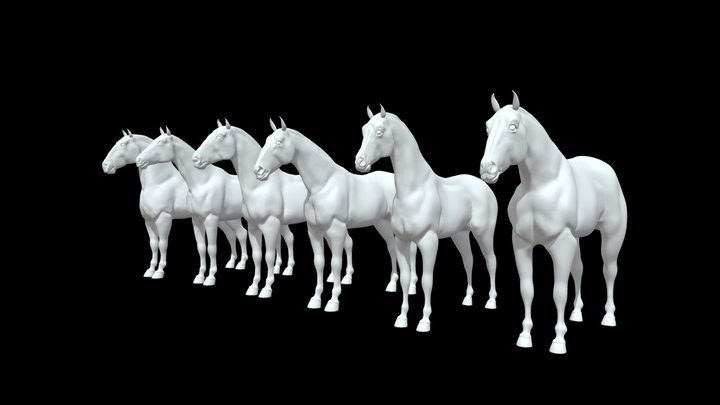 Horse bases 3D Model