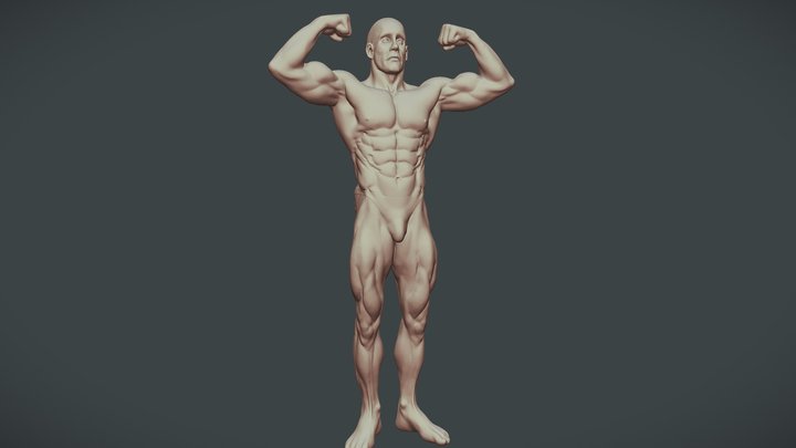 Bodybuilder anatomy practice. 3D Model