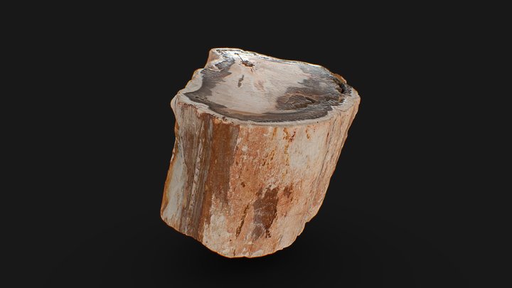 Petrified Wood 2 – Modèle 3D gratuit STL