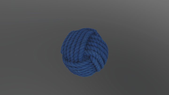 Knot 3D Model