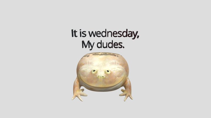 Wednesday Frog 3D Model