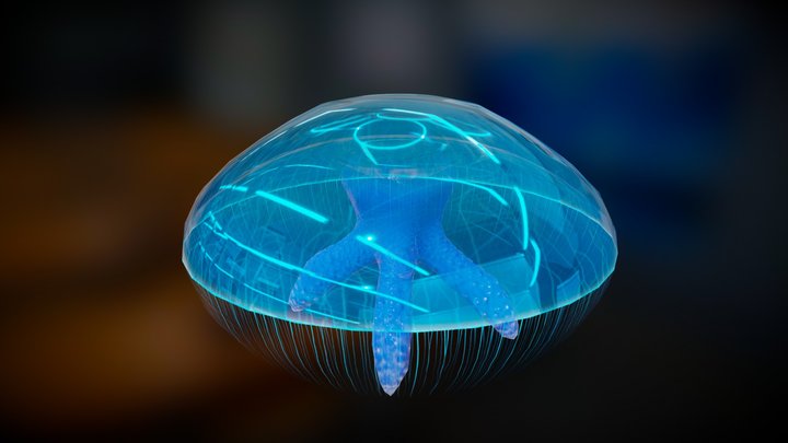 Moon Jellyfish Animated 3D Model