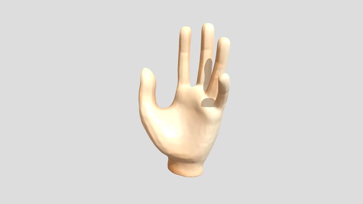 livet2024hand 3D Model