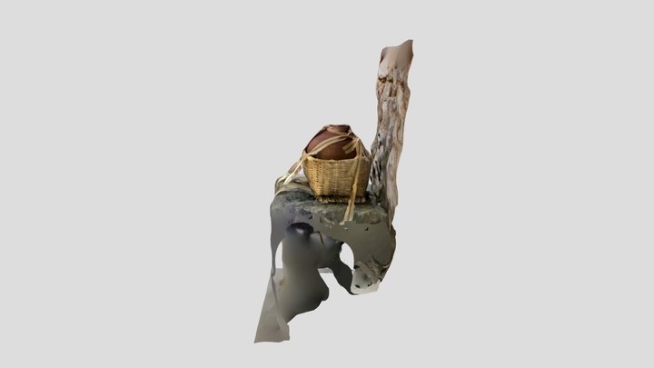 제주자연사박물관-4 3D Model