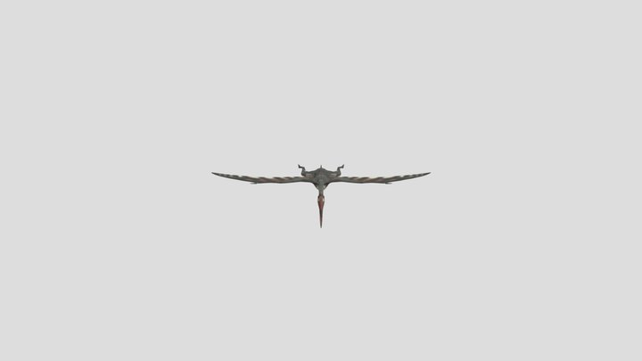 Dinoraul's Quetzalcoatlus 3D Model