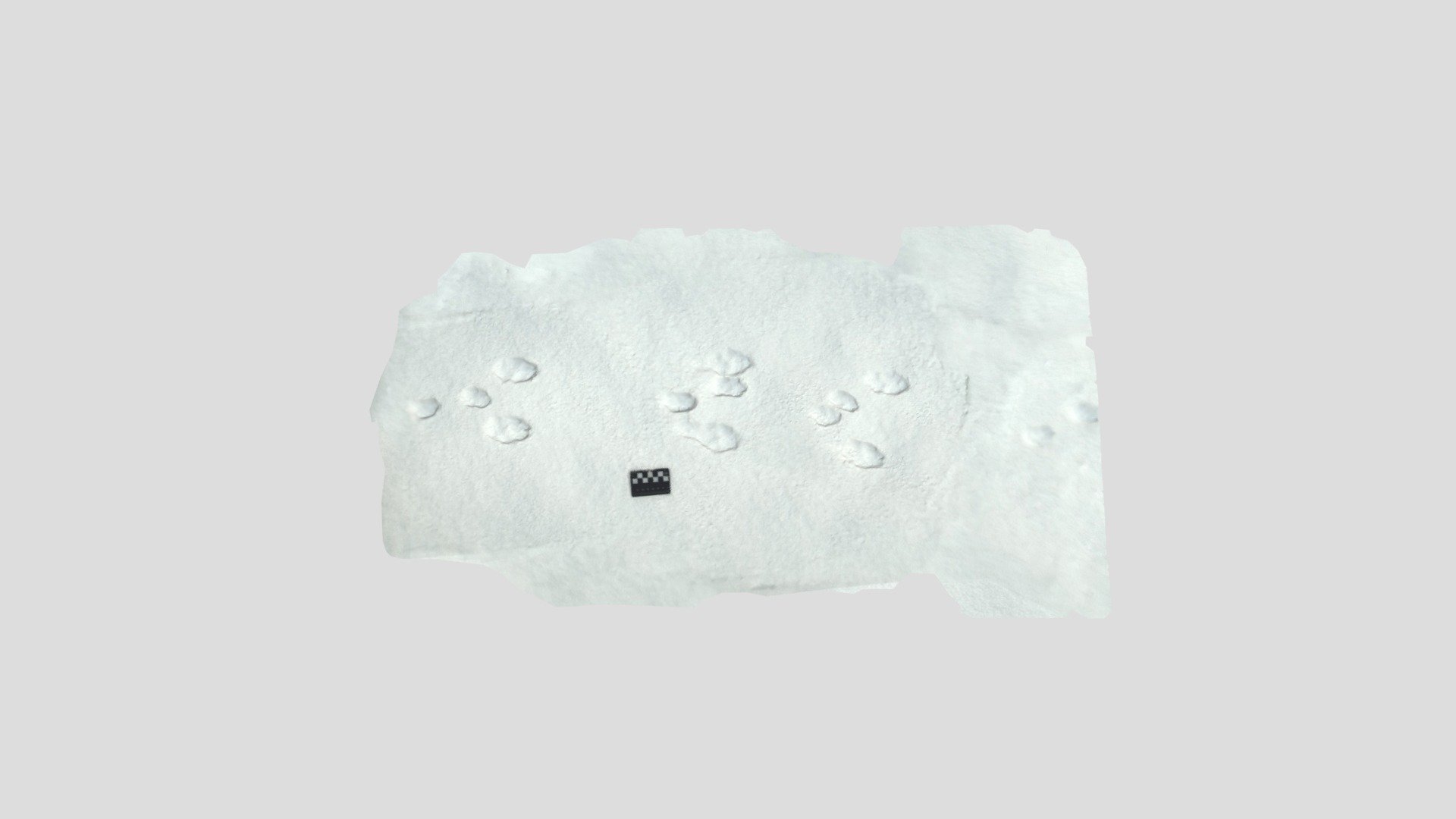 Hare footprints in snow