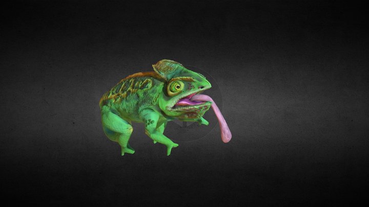 Chameleon 3D Model