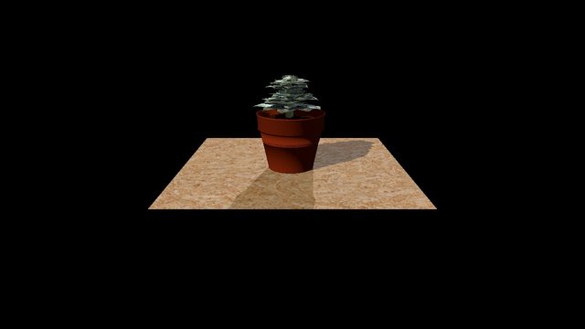 plante 3D Model