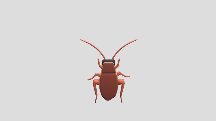 cockroach 3D Model