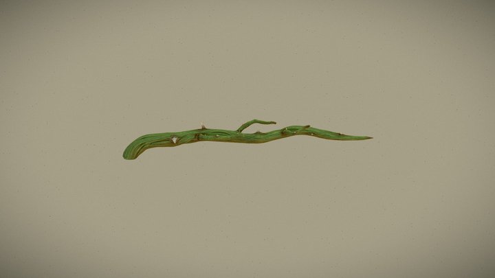 Stylized Thorn Root 3D Model