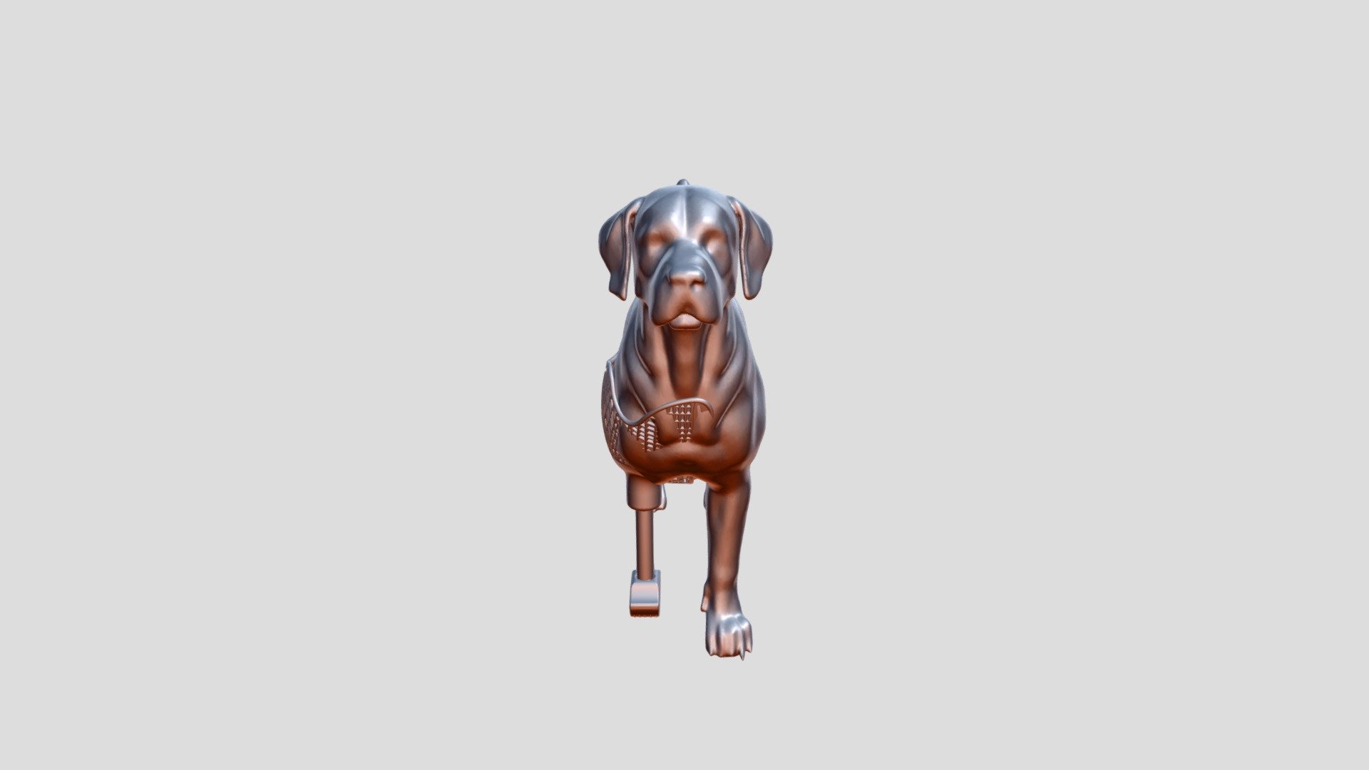 dog front leg orthosis — Sketchfab embed 3D viewer