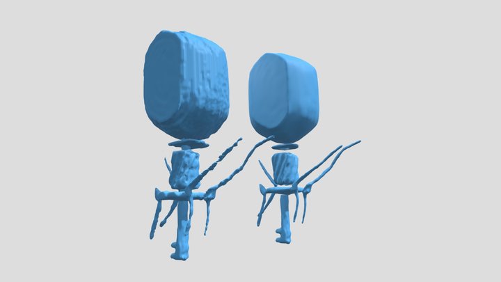T4 Bacteriophage from cryo-ET data 3D Model