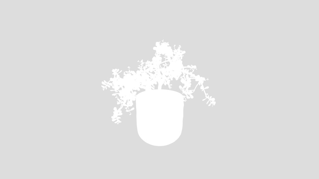 Jade Bonsai Pot