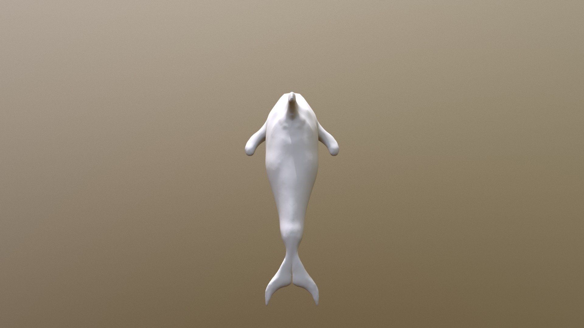 Dolphin Model