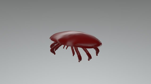 Varroa Mite - 3D Printable 3D Model