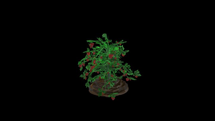 strawbery bush 3D Model