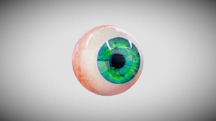 eyeball 3D Model