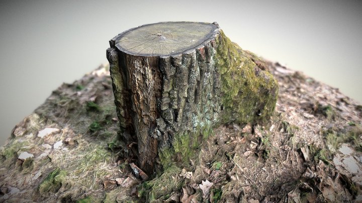 Stump in the meadow 1 – Modelo 3D gratuito STL