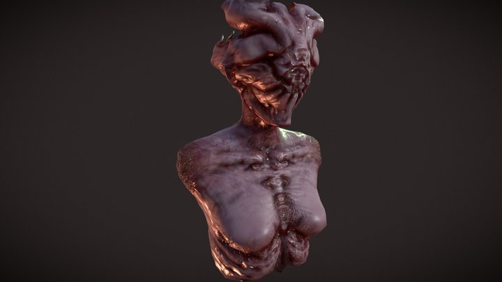 Amica Del Sole 3D Model