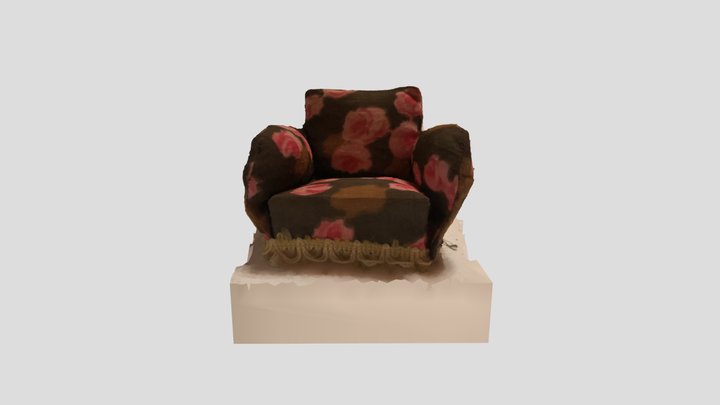 Scan 2023-01-24T17:57:45.503Z 3D Model