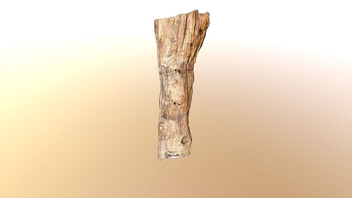 Manwell Tree 3D Model