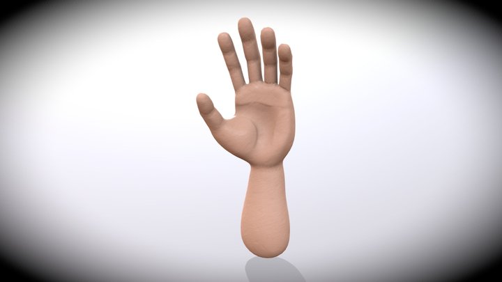 Hand test 3D Model