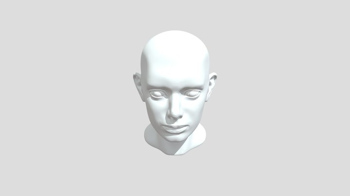 Practice_retopo 3D Models - Sketchfab