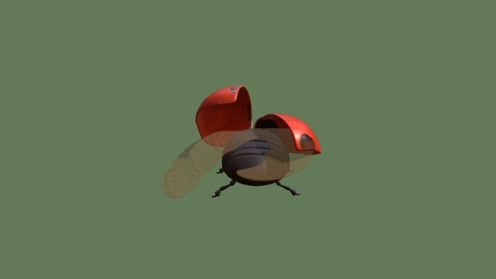 Lady Bug Test Model 3D Model