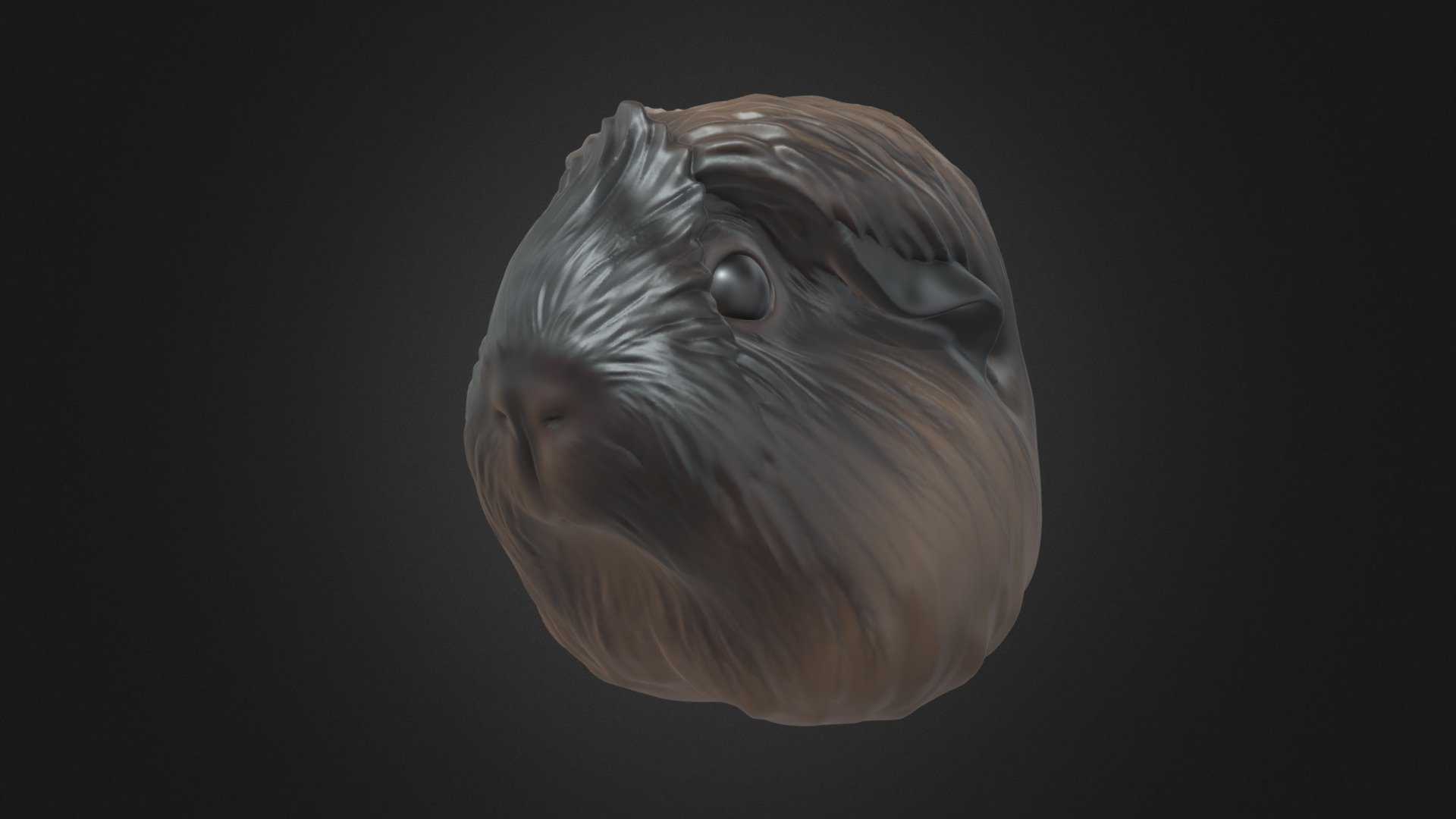 Macy's Guinea Pig model 3D model by Seed by mi (seedbymi) [951cd59