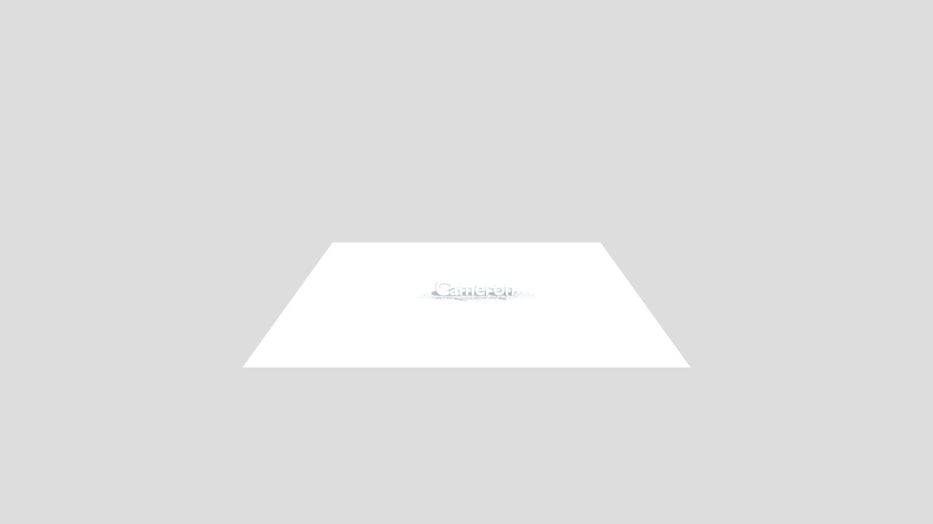 Wood Chip 3D Model