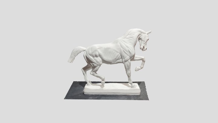 Horse 3D Model