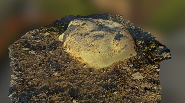 Test 3d Scan 3D Model