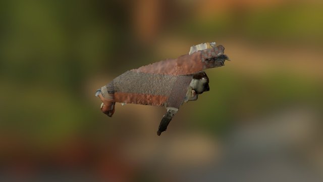 Model1 3D Model
