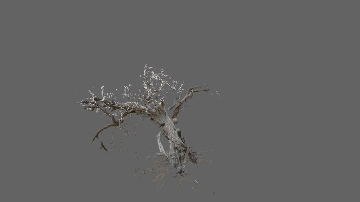 tree model v4 pro 3D Model