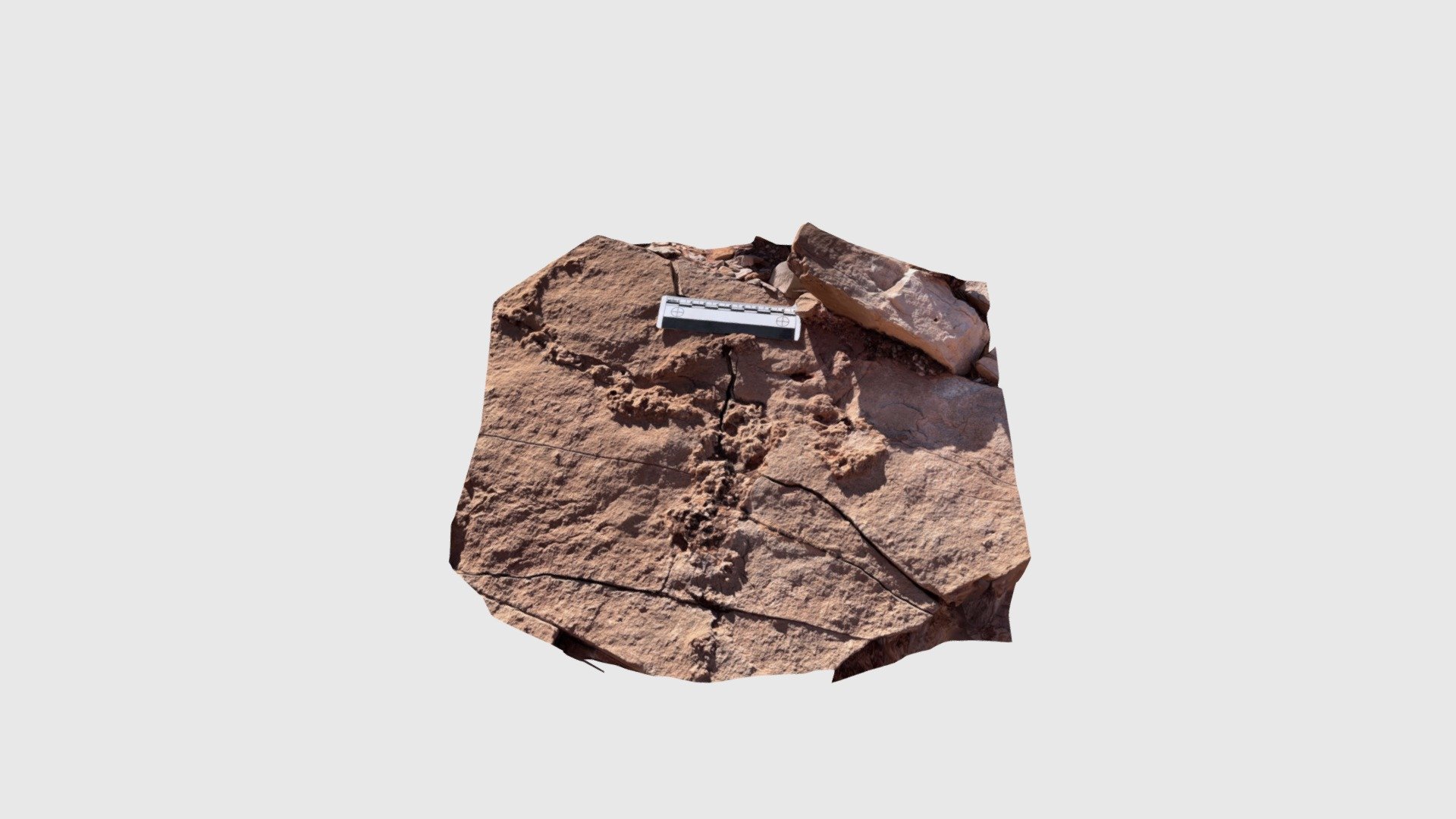 AM-2023-023b tridactyl track - Download Free 3D model by larkin ...