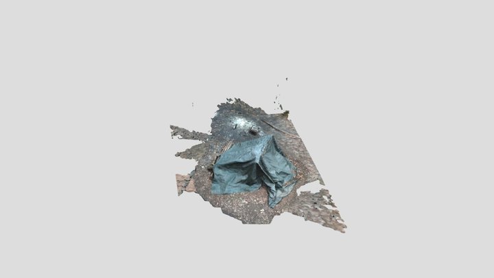 Woodcover 3D Model