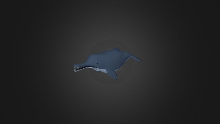 Blind Dolphin 3D Model