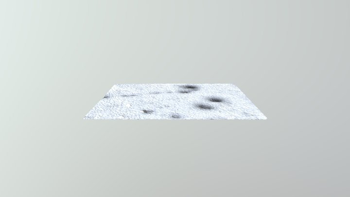 Dolphin 3D Model