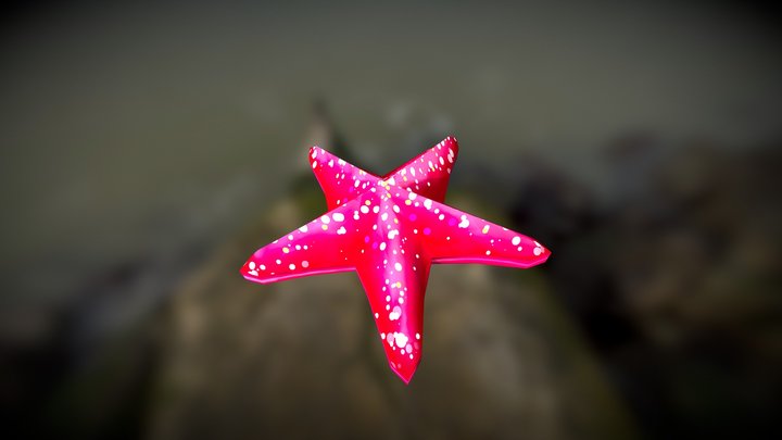 Starfish | Low Poly | Game Asset 3D Model