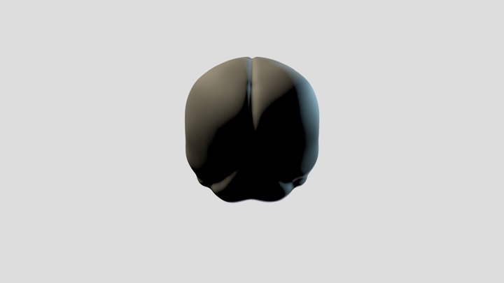 P.E.I_Module2_HumanSkull 3D Model