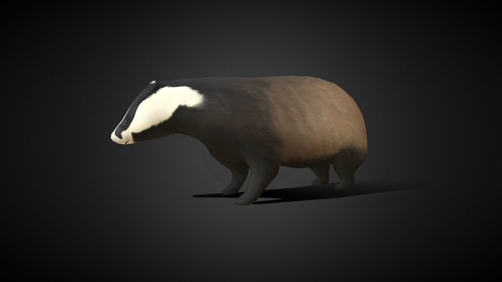 Honey Badger 3D Model
