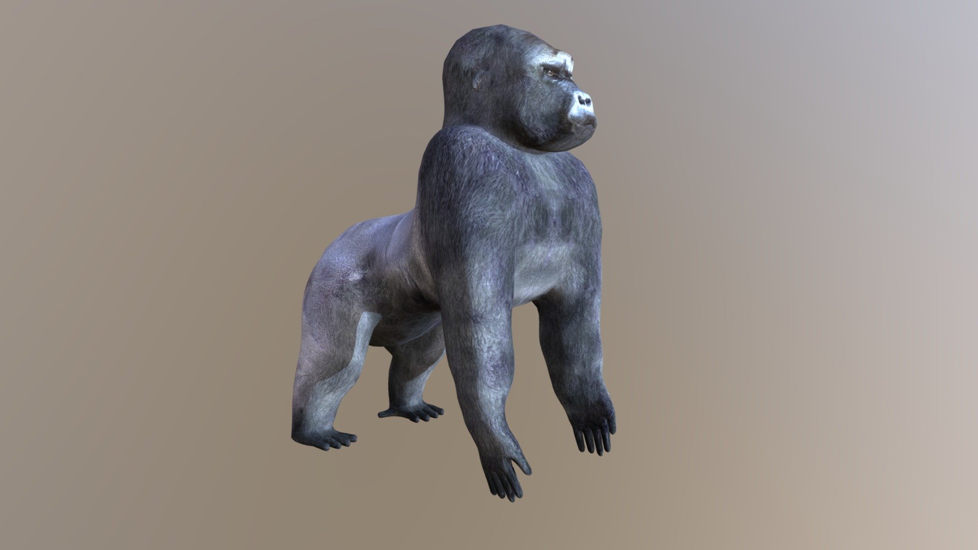 Gorilla tag - Gorilla: textured, rigged, colour - Download Free 3D model by  asduf28349 (@asduf28349) [43404d6]