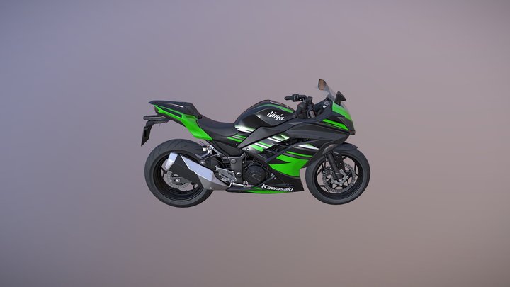 Kawasaki Ninja-300 3D Model