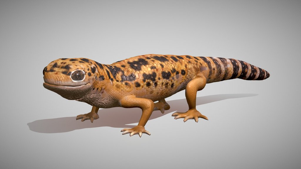 Leopard Gecko Game‑Ready Model