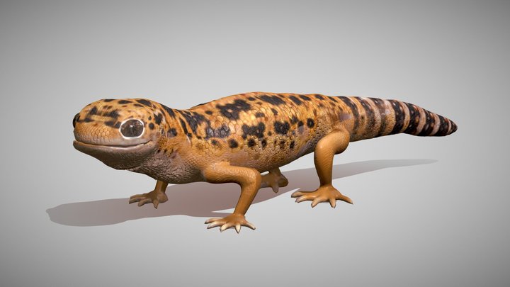 Leopard Gecko Game‑Ready Model – Modello 3D gratuito STL